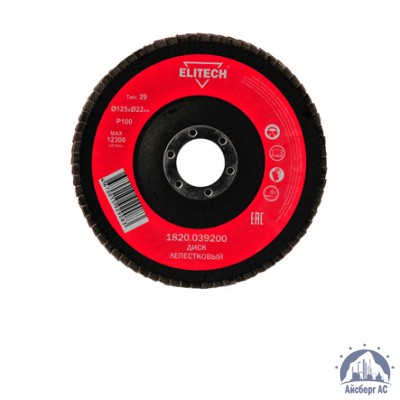 Круг лепестковый КЛТ 125х22 мм, P100, Elitech, 1820,039200 купить во Владимире